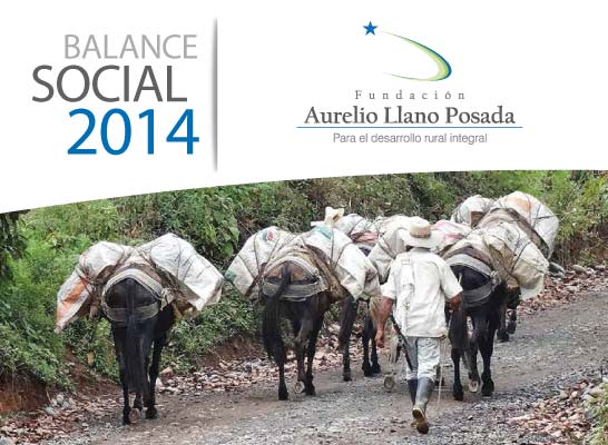 Balance Oficial 2014 Fundación Aurelio Llano Posada