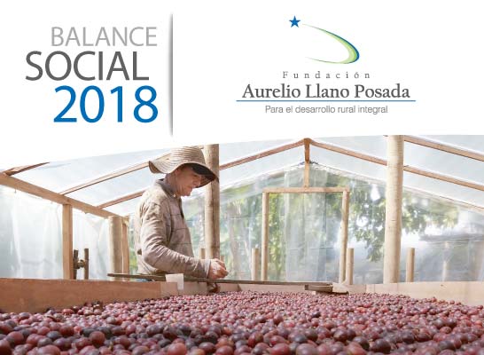 Balance Oficial 2018 Fundación Aurelio Llano Posada