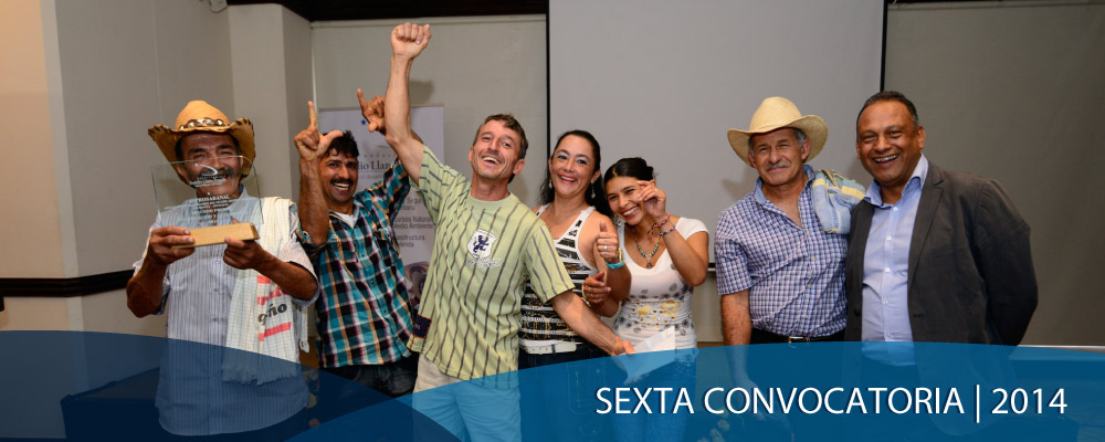 Sexta convocatoria | 2014 Premios Aurelio Llano Posada, Medellín