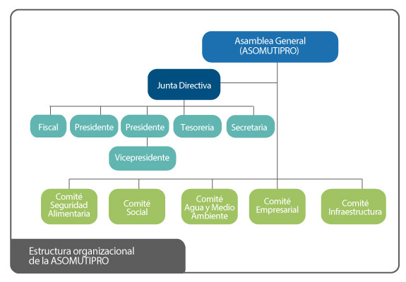 Estructura organizacional de la ASOMUTIPRO