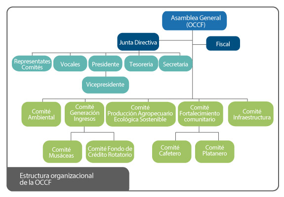 Estructura organizacional de la OCCF