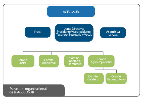 Estructura organizacional de la AGECOSUR