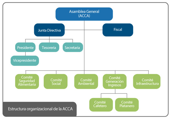 Estructura organizacional de la ACCA