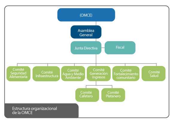 Estructura organizacional de la OMCE