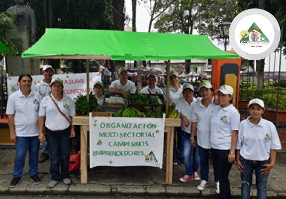 TÁMESIS-Organización Multisectorial Campesinos Emprendedores (OMCE)