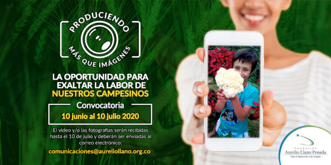 Concurso-webarticulo