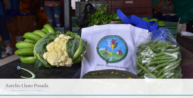 Noticiar Jardín compra Jardín