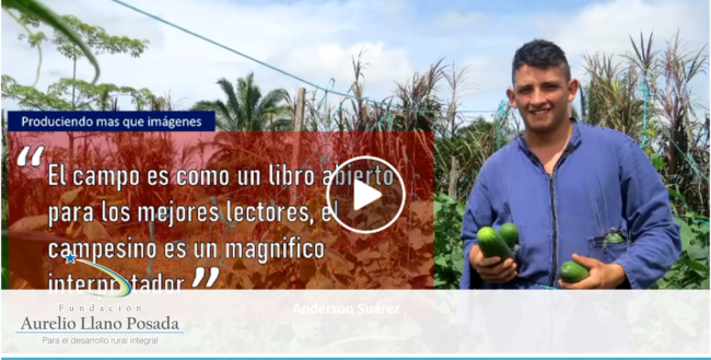 Noticias-concurso-produciendo-más que imágenes 1 Ganador del concurso de video