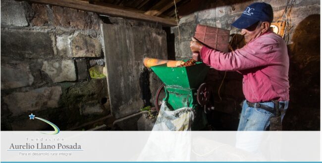 Noticas Cafe- Desarrollo rural