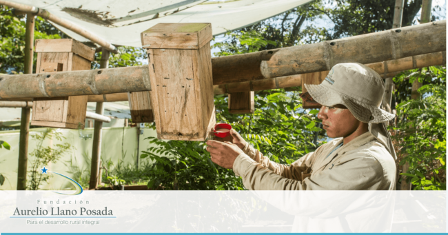 Noticias- visión-Misión (1) Visión y misión Fundación Aurelio Llano Posada