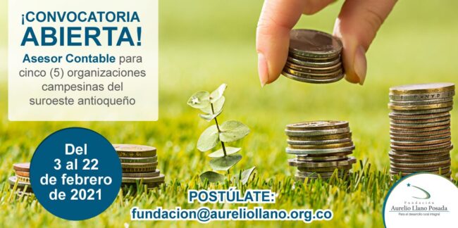 Convocatoria asesor contable