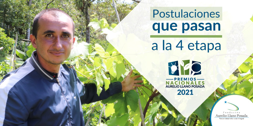 postulaciones que pasan a 4 etapa de los premios nacionales aurelio llano posada