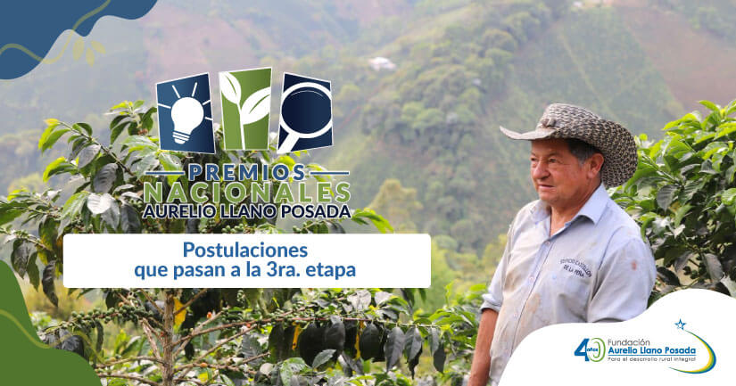 Postulaciones que pasan a la 3ra. etapa de los Premios Nacionales Aurelio Llano Posada 2023