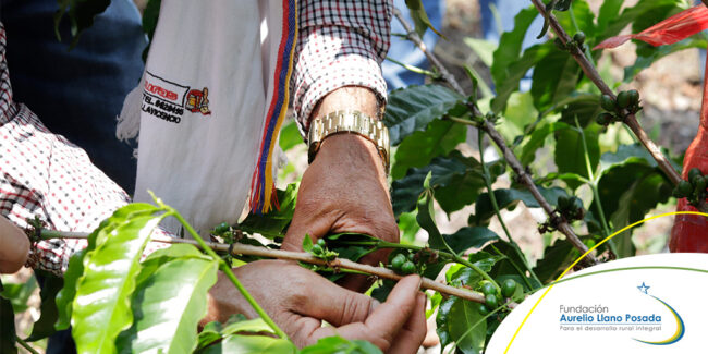 Escuela-de-Campo-Buenas-Prácticas-Agrícolas Escuela de Campo: Buenas Prácticas Agrícolas