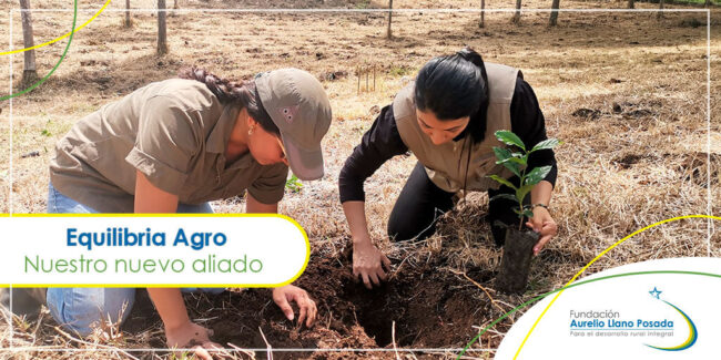 Nuestro-nuevo-aliado-Equilibria-Agro-y-Fundacion-Aurelio-Llano-Posada En la Fundación tenemos un nuevo aliado: Equilibria Agro - foto de dos personas sembrando un árbol