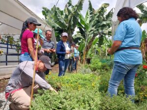 Visita e intercambio de experiencias en la vereda Las Frías, Yolombó, Antioquia