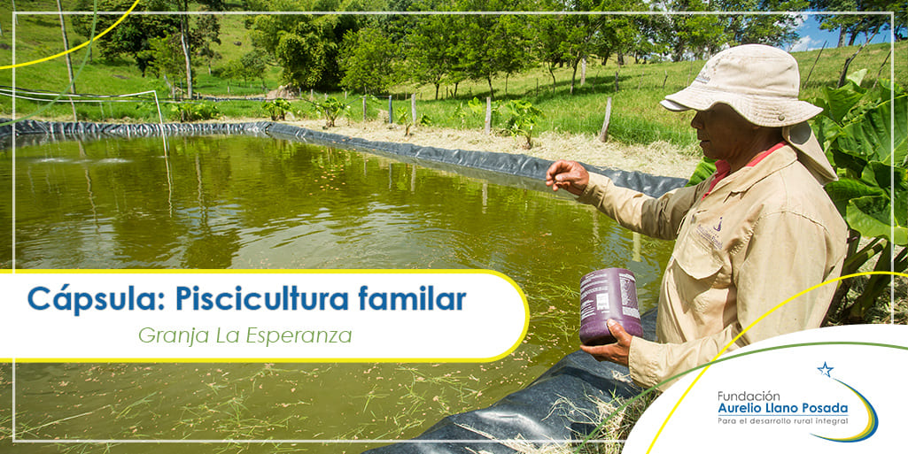 Cápsula-Piscicultura-familiar Cápsula Piscicultura familiar
