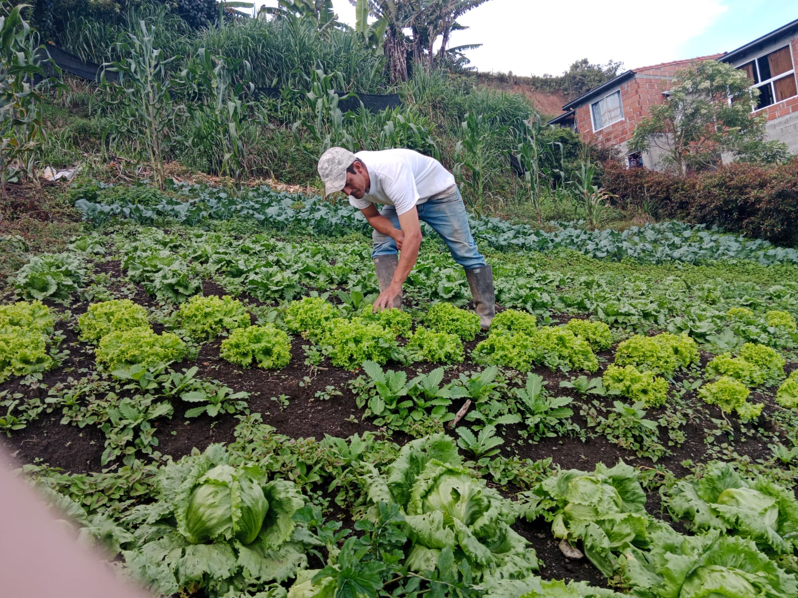 Alianzas para el desarrollo rural