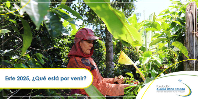 Este-2025-¿Qué-está-por-venir? Este 2025, ¿Qué está por venir?