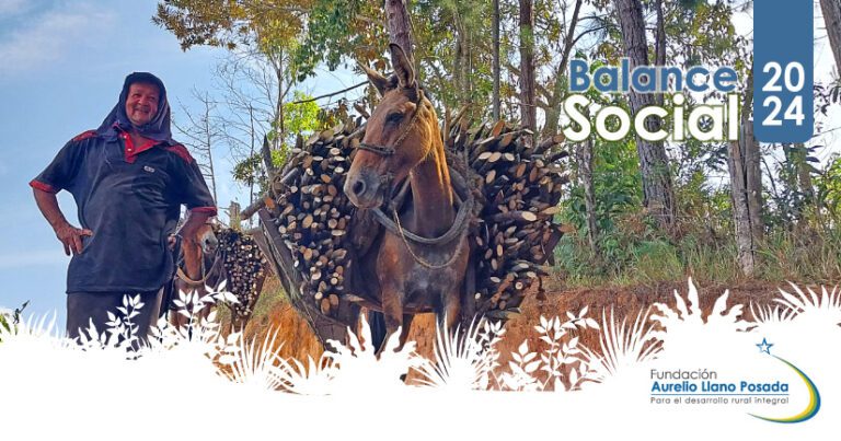 Balance-Social-FALLP-2024-banner