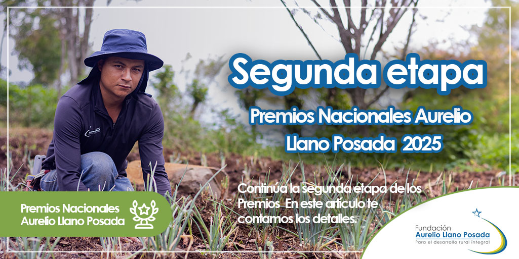 Segunda etapa de los Premios Nacionales Aurelio Llano Posada 2025