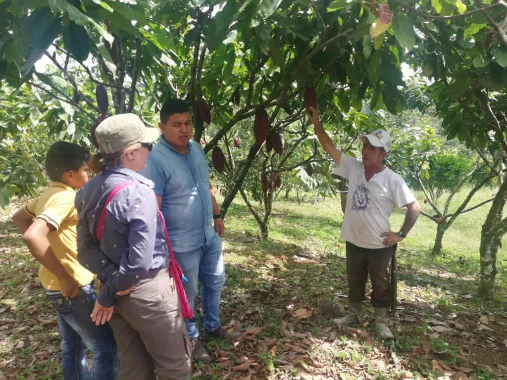 Formación socioeconómica rural