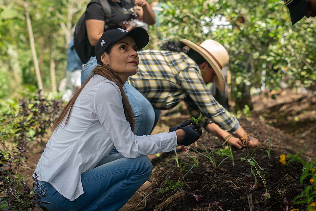 Desarrollo Rural: Fortaleciendo comunidades desde el territorio