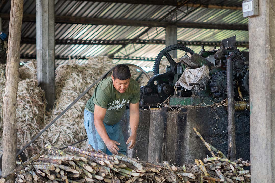 Desarrollo Rural: Fortaleciendo comunidades desde el territorio