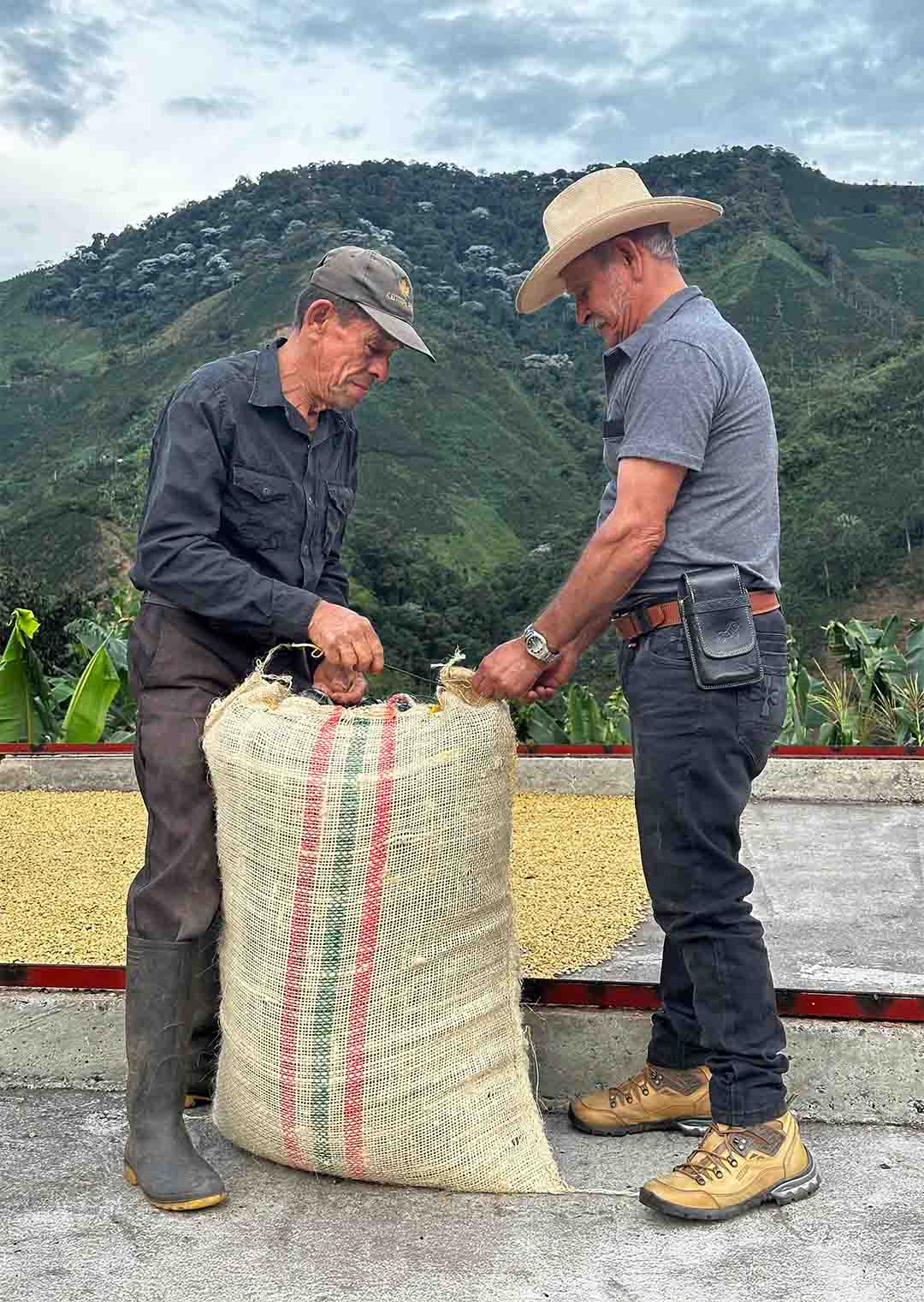 Desarrollo Rural: Fortaleciendo comunidades desde el territorio