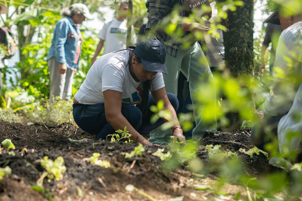 Granja La Esperanza: experiencias para el desarrollo rural